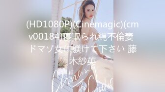 (HD1080P)(Cinemagic)(cmv00184)寝取られ縄不倫妻 ドマゾ女に躾けて下さい 藤木紗英