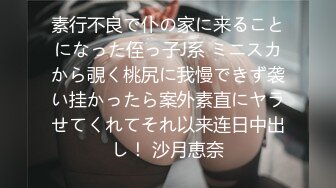 素行不良で仆の家に来ることになった侄っ子J系 ミニスカから覗く桃尻に我慢できず袭い挂かったら案外素直にヤラせてくれてそれ以来连日中出し！ 沙月恵奈