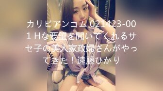 カリビアンコム 021423-001 Hな要望を聞いてくれるサセ子の美人家政婦さんがやってきた！遠藤ひかり