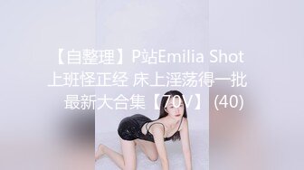 【自整理】P站Emilia Shot  上班怪正经 床上淫荡得一批   最新大合集【70V】 (40)