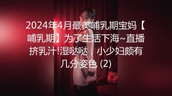 2024年4月最美哺乳期宝妈【哺乳期】为了生活下海~直播挤乳汁!湿哒哒，小少妇颇有几分姿色 (2)