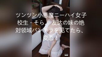 ツンツン小悪魔ニーハイ女子校生・そら。 友达の妹の绝対领域パンチラを见てたら、変态！