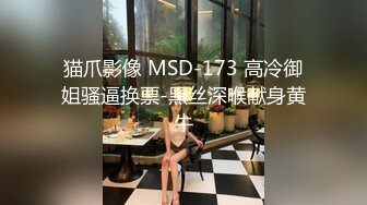 猫爪影像 MSD-173 高冷御姐骚逼换票-黑丝深喉献身黄牛