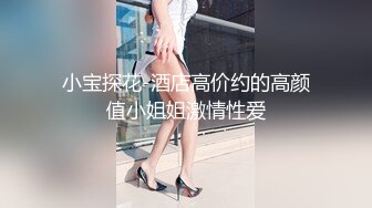 小宝探花-酒店高价约的高颜值小姐姐激情性爱