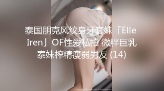 泰国朋克风纹身牙套妹「Elle Iren」OF性爱私拍 微胖巨乳泰妹榨精瘦弱男友 (14)