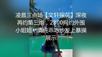 凌晨三点场【文轩探花】深夜再约第三炮，2800网约外围小姐姐，清纯乖巧沙发上暴操展示