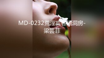 MD-0232荒淫宾客闹洞房-梁芸菲